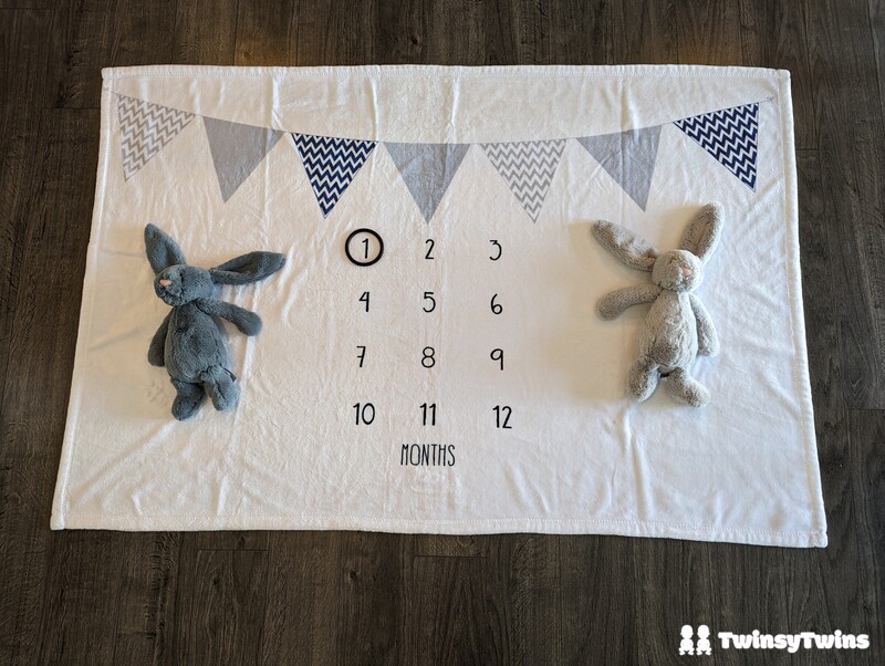 Milestone Blanket