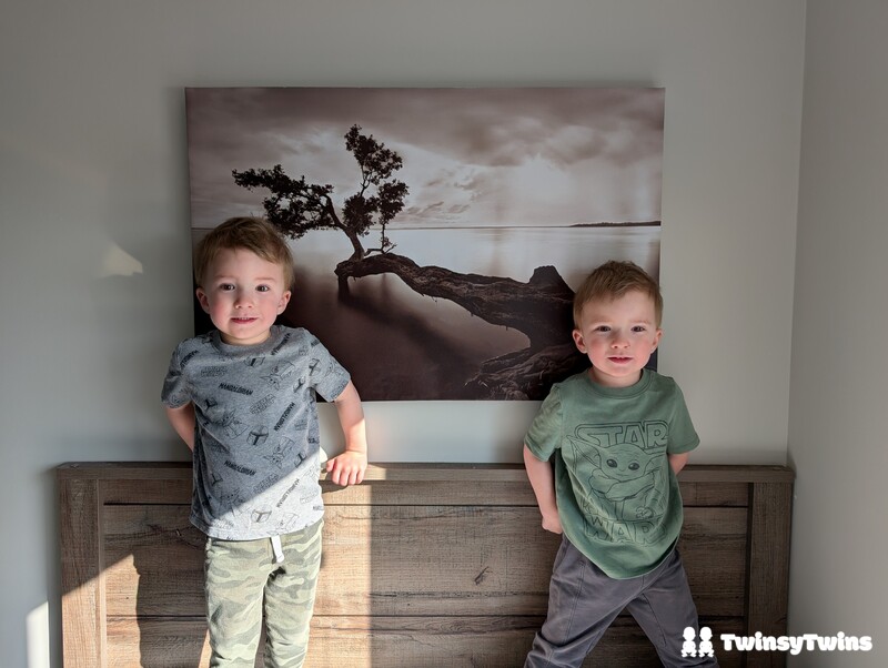 Mirror Twins Checklist Identical Twins Toddlers Hair Falling In Opposite Directions Alt