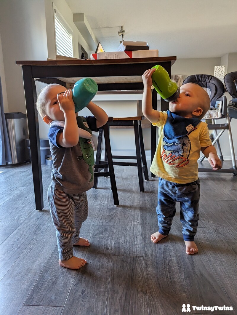 Water Dailiy Intake Twin Toddlers Drinking Water From Sippy Cups